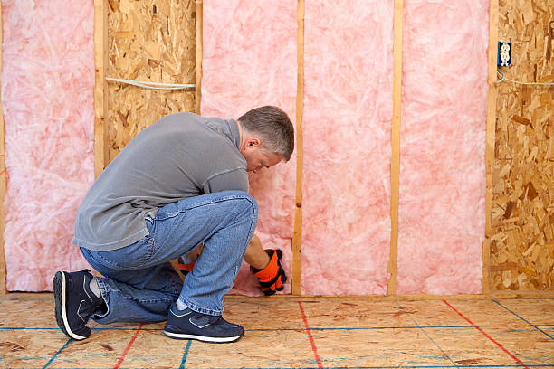 Types of Insulation We Offer in Kaaawa, HI